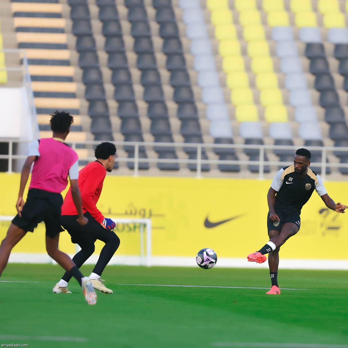 «النمور» تعاود الركض