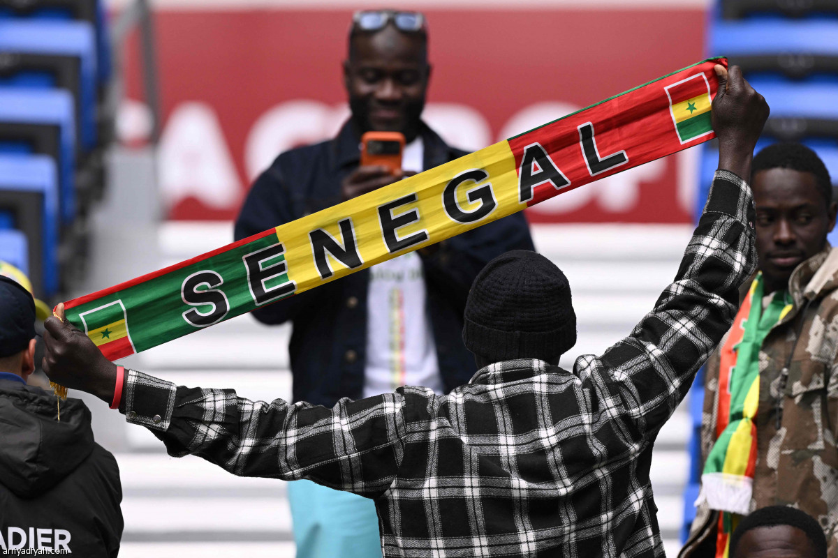 «فراعنة» و«أسود»