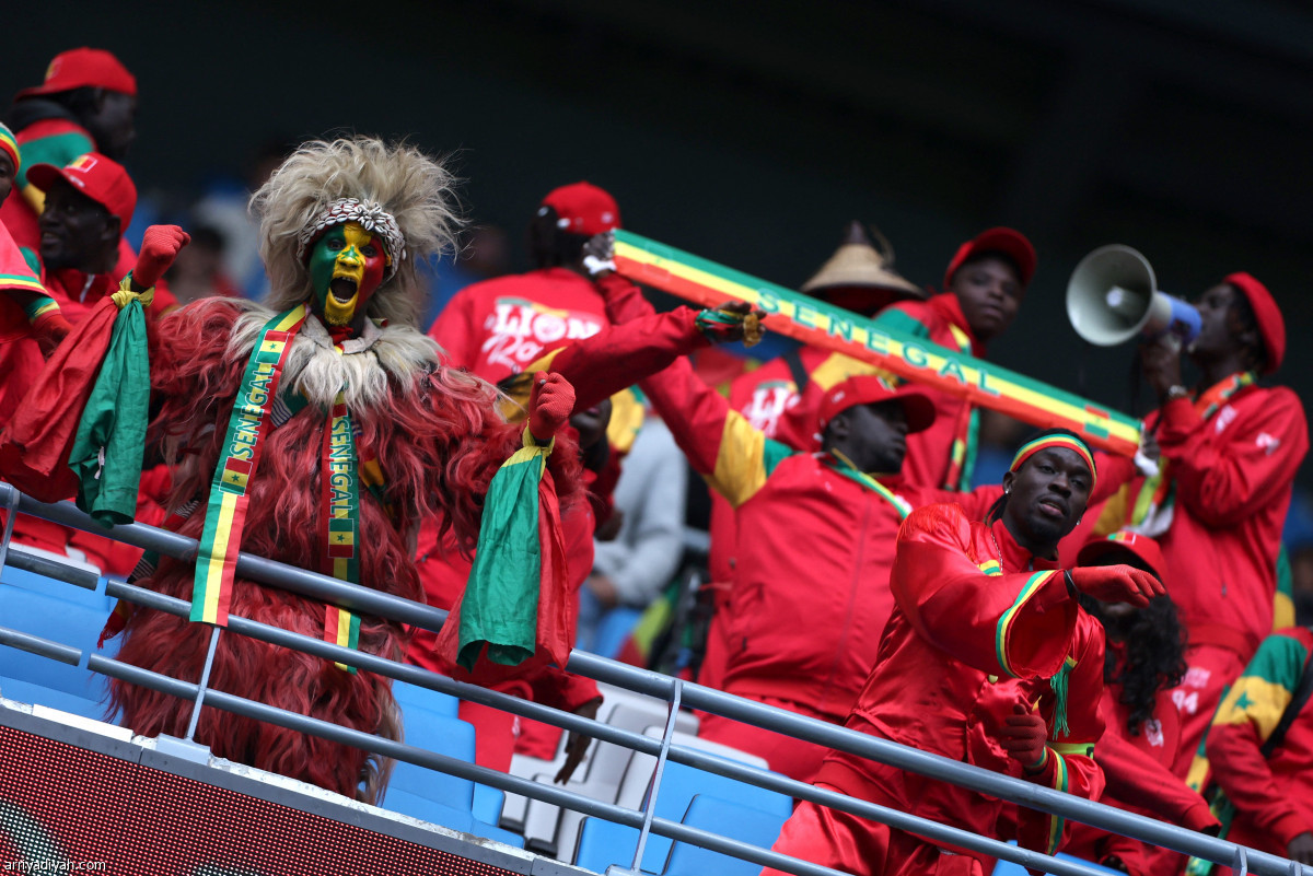 «فراعنة» و«أسود»