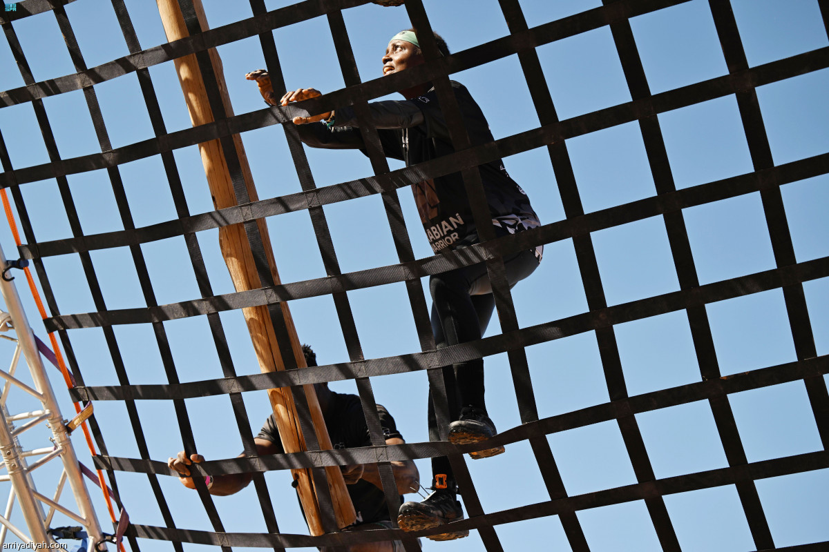 المحارب في العلا