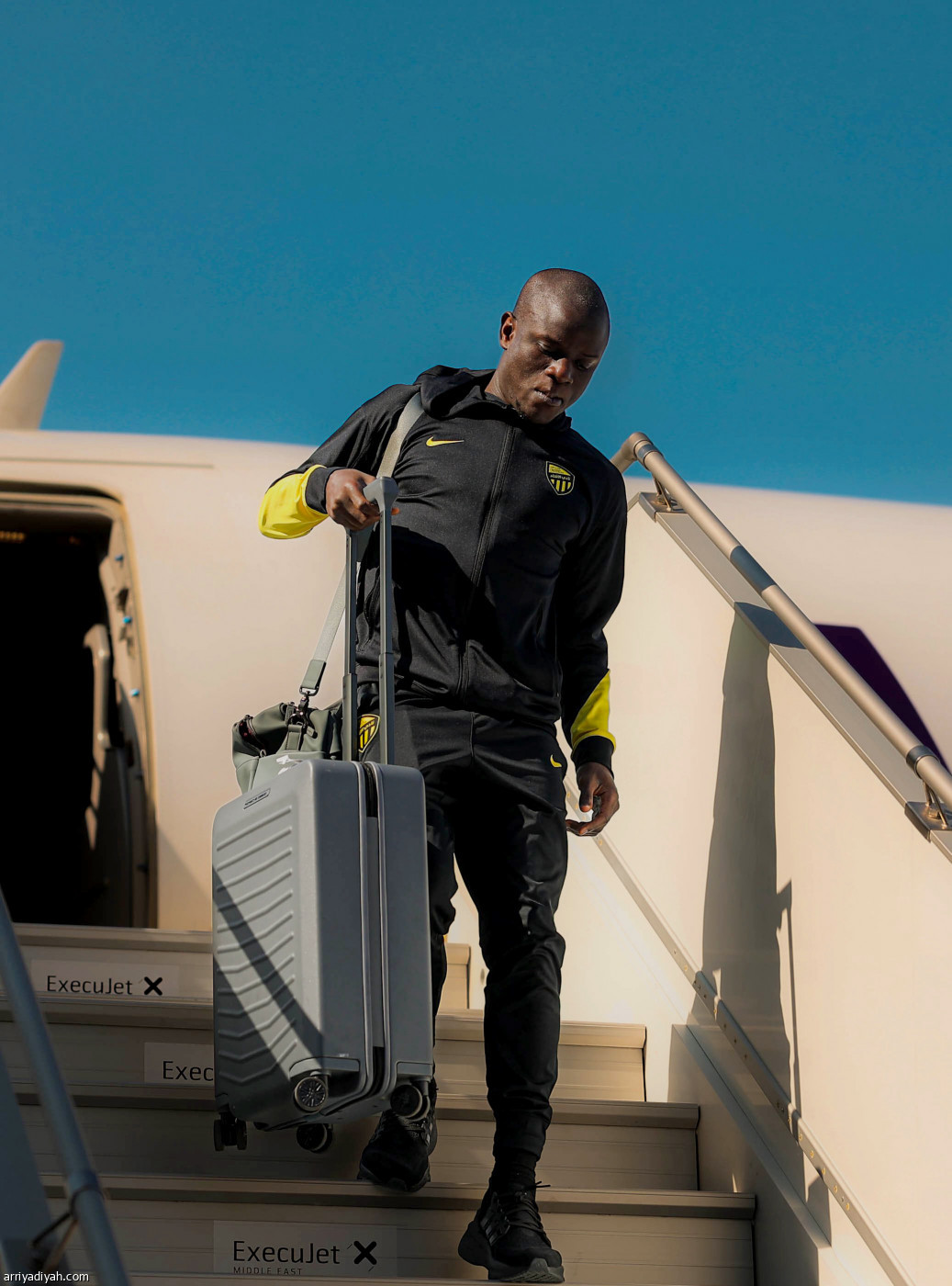 النمور في دبي