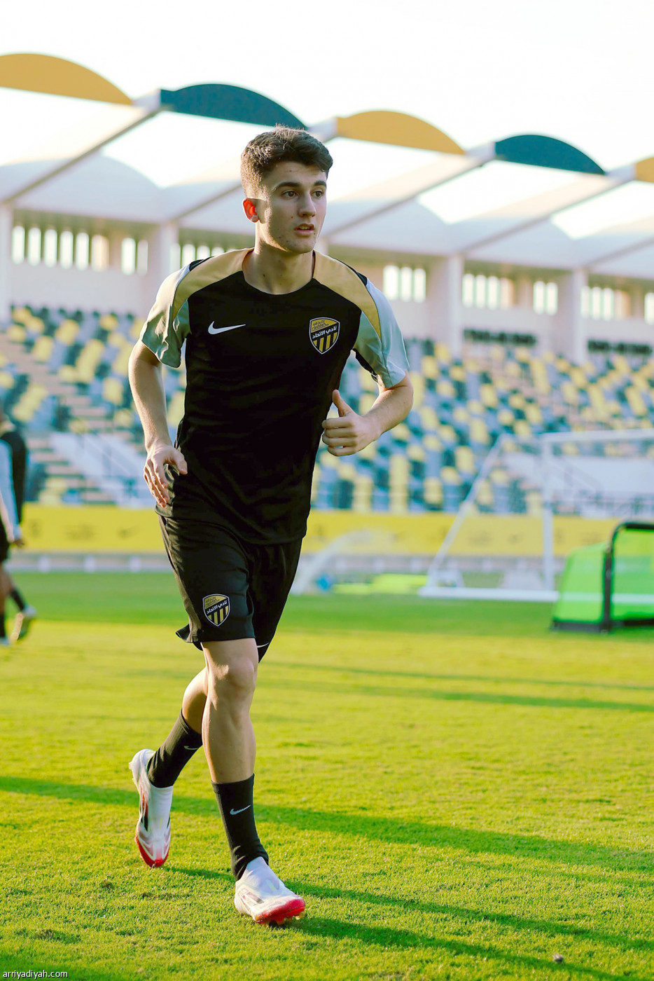 أوناي ينطلق مع «النمور»