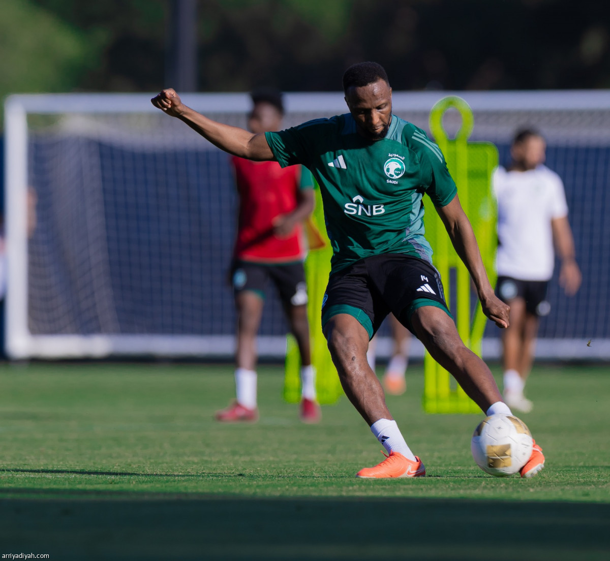 تدريب الأخضر