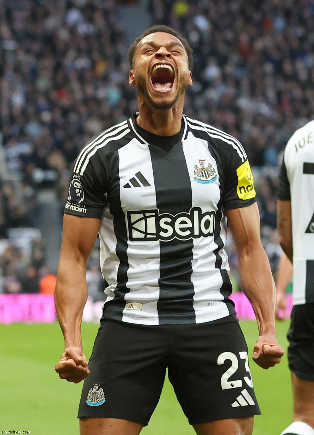 نيوكاسل يستعرض