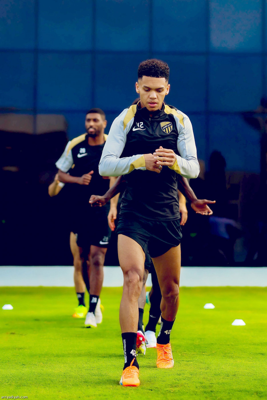 «النمور» جاهزون