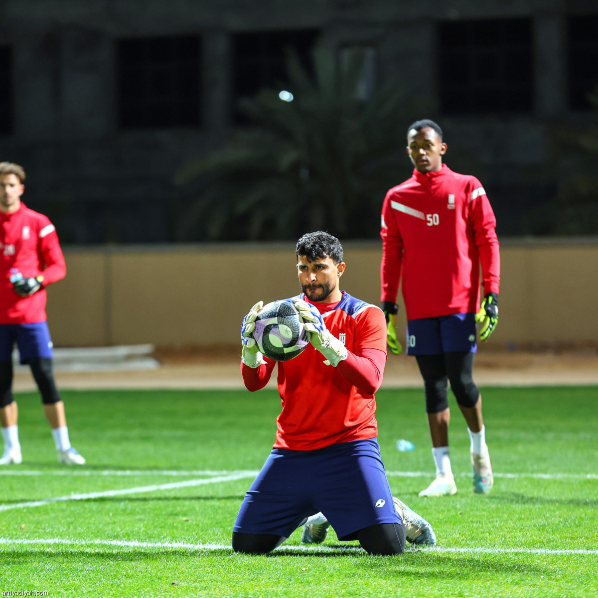 العروبة تحت المطر