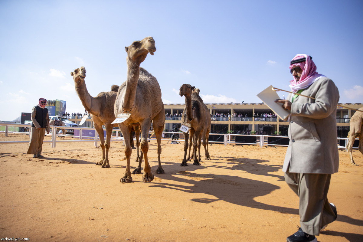 شوط «الرؤية»