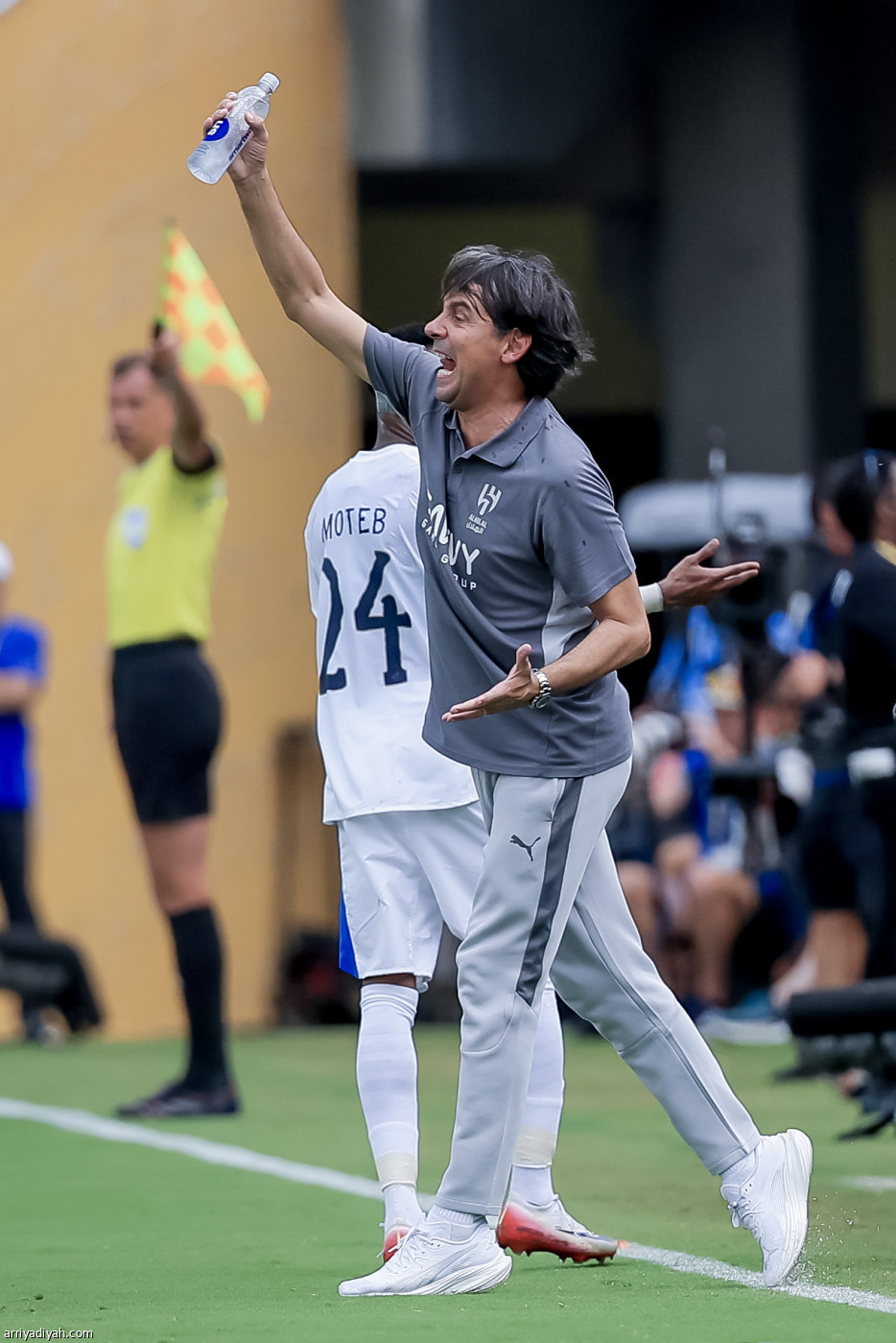 نهاية المشوار